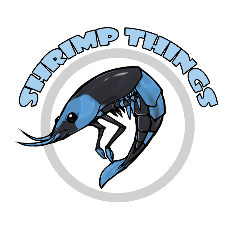 Shrimp Things